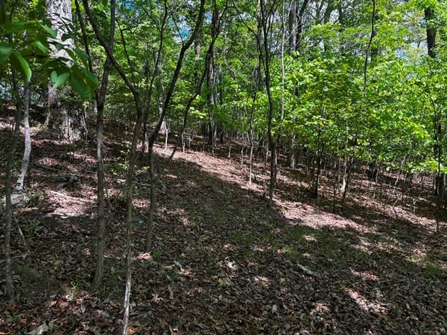 Lot 43 Edgewood Trail, Blairsville GA 30512 - Photo
