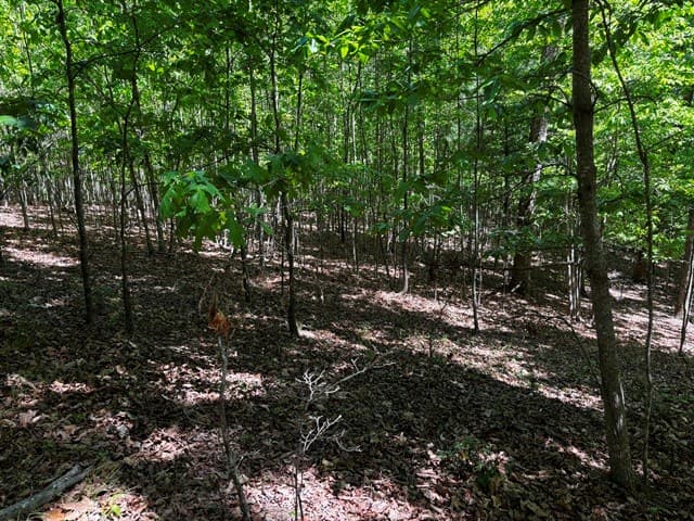 Lot 43 Edgewood Trail, Blairsville GA 30512 - Photo