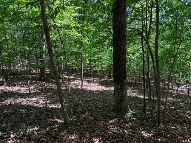 Lot 43 Edgewood Trail, Blairsville GA 30512 - Photo