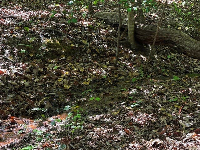 Lot 43 Edgewood Trail, Blairsville GA 30512 - Photo