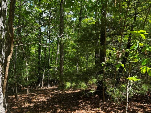 Lot 43 Edgewood Trail, Blairsville GA 30512 - Photo