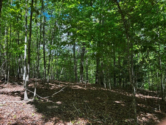 Lot 43 Edgewood Trail, Blairsville GA 30512 - Photo