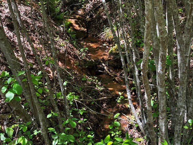 Lot 43 Edgewood Trail, Blairsville GA 30512 - Photo