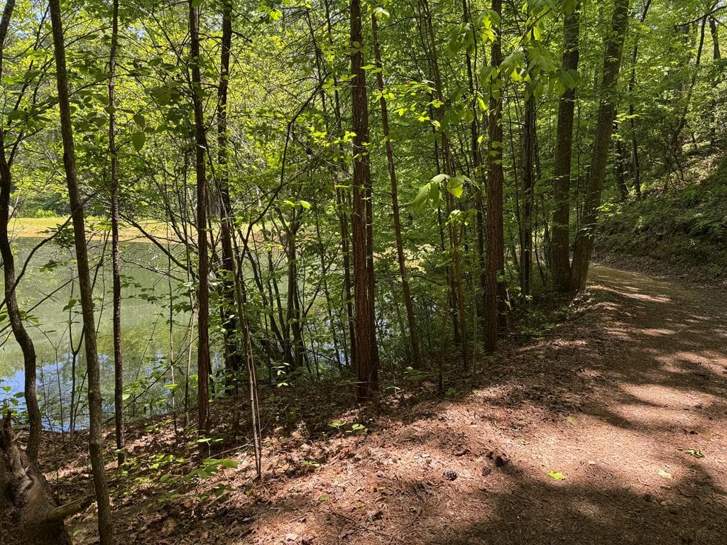 85 Moreland Trail, Blue Ridge GA 30513 - Photo