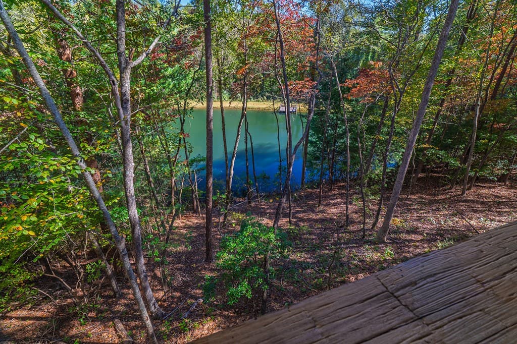 85 Moreland Trail, Blue Ridge GA 30513 - Photo