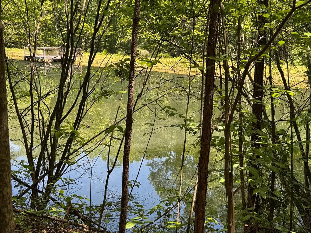 85 Moreland Trail, Blue Ridge GA 30513 - Photo