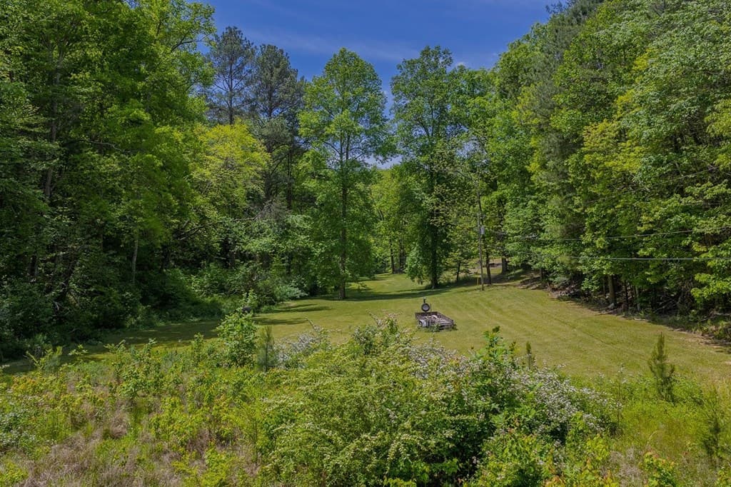 153 January Lane, Ellijay GA 30540 - Photo