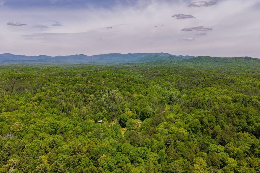 153 January Lane, Ellijay GA 30540 - Photo