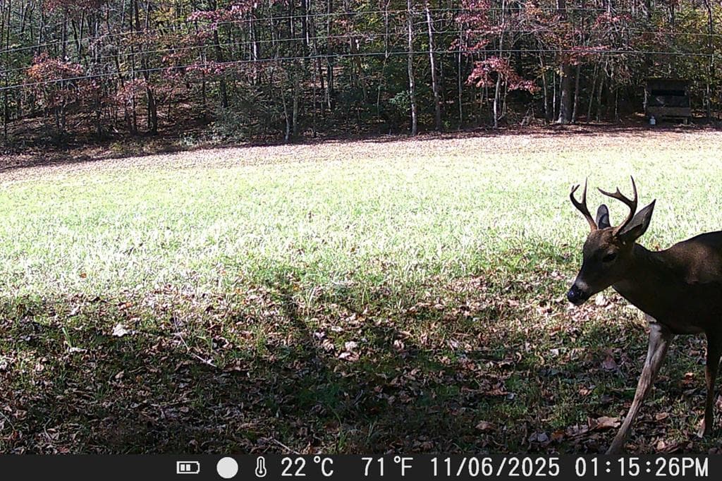 153 January Lane, Ellijay GA 30540 - Photo