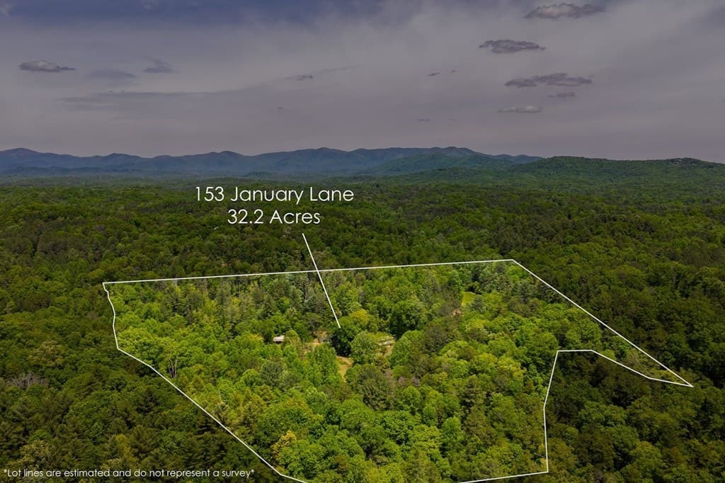 153 January Lane, Ellijay GA 30540 - Photo