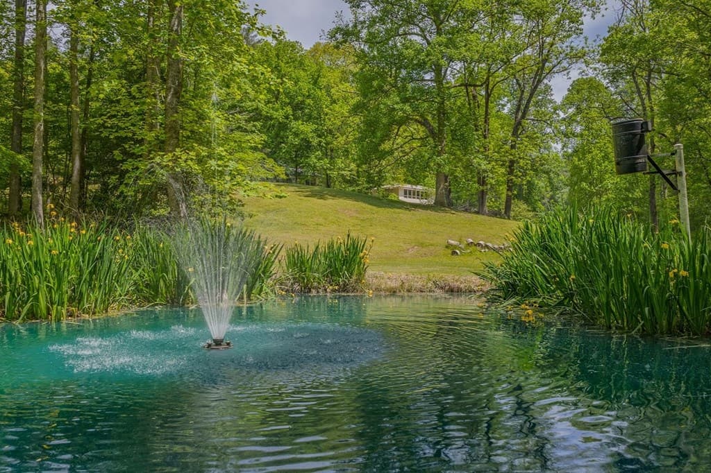 153 January Lane, Ellijay GA 30540 - Photo