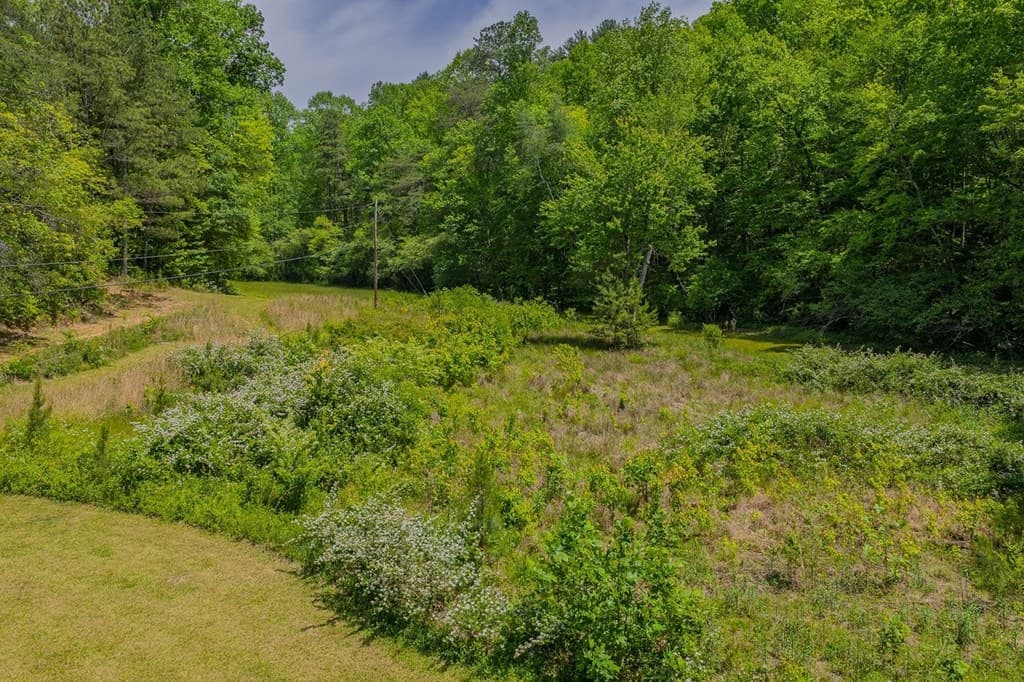153 January Lane, Ellijay GA 30540 - Photo