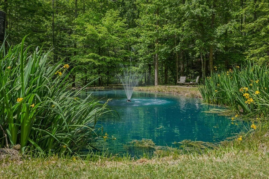 153 January Lane, Ellijay GA 30540 - Photo