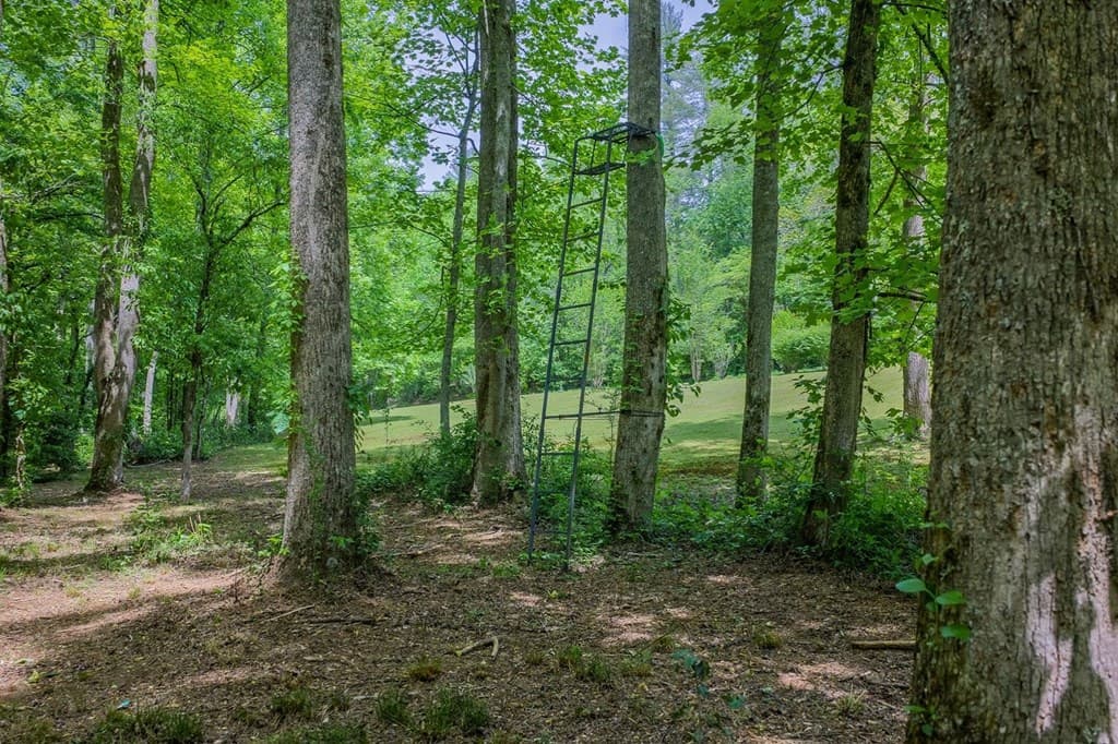 153 January Lane, Ellijay GA 30540 - Photo