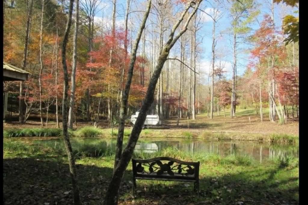 153 January Lane, Ellijay GA 30540 - Photo