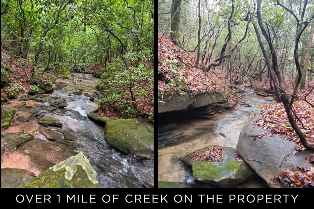 153 January Lane, Ellijay GA 30540 - Photo
