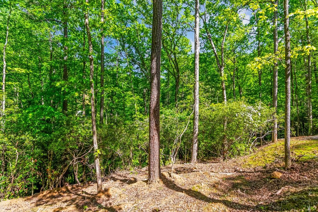 1472 Nugget Lane, Ellijay GA 30540 - Photo