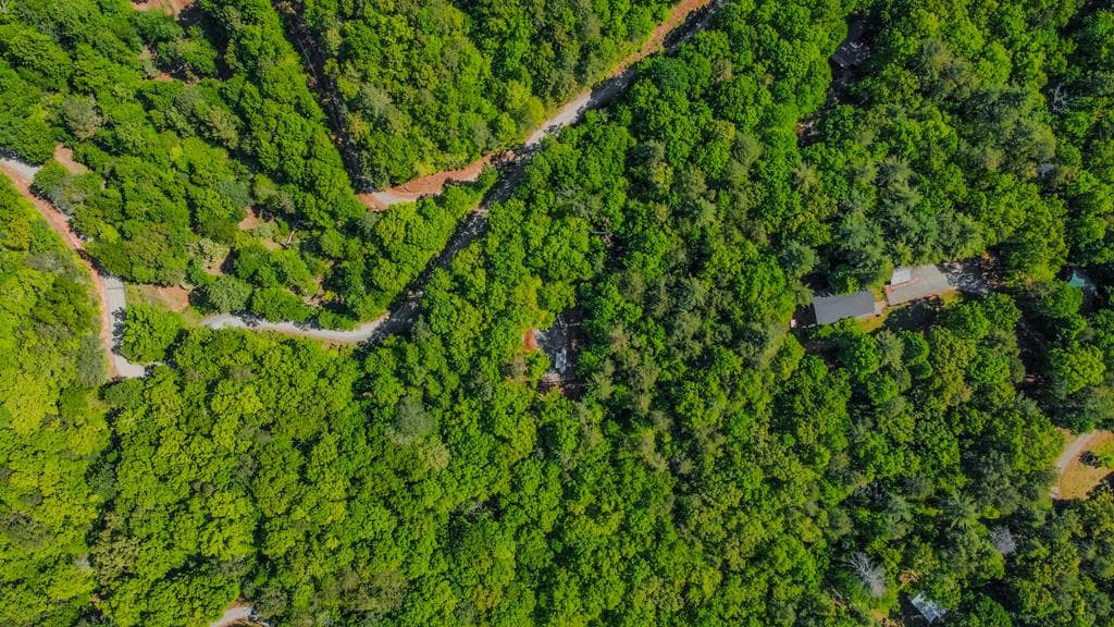 1472 Nugget Lane, Ellijay GA 30540 - Photo