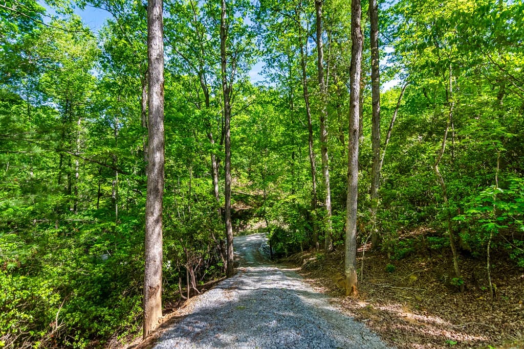 1472 Nugget Lane, Ellijay GA 30540 - Photo