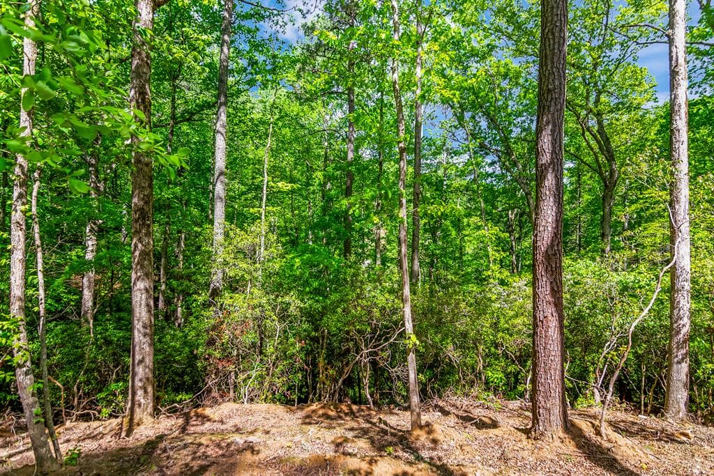1472 Nugget Lane, Ellijay GA 30540 - Photo