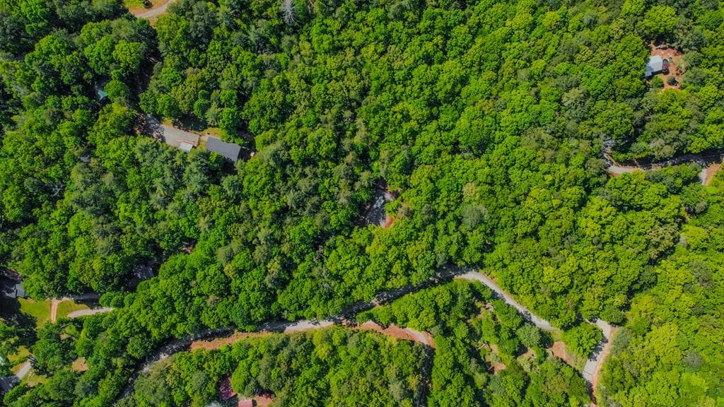 1472 Nugget Lane, Ellijay GA 30540 - Photo