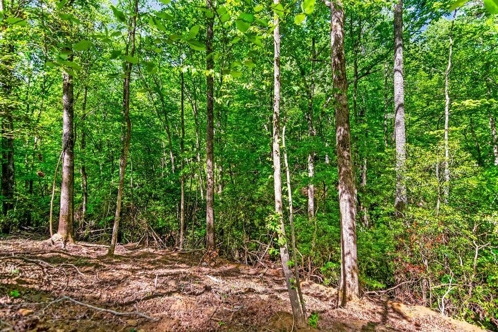 1472 Nugget Lane, Ellijay GA 30540 - Photo