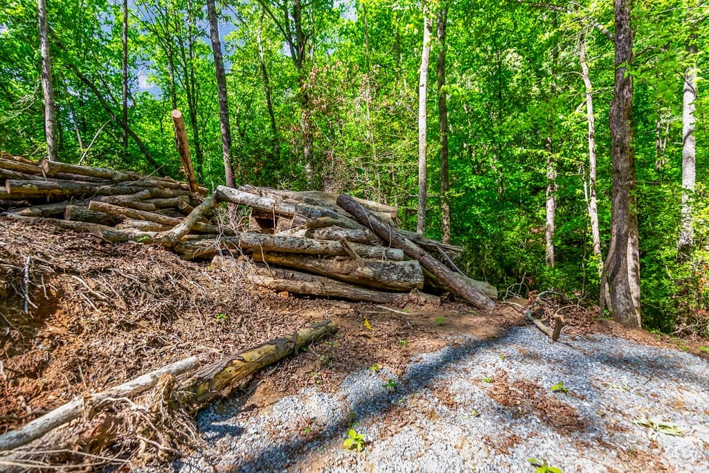 1472 Nugget Lane, Ellijay GA 30540 - Photo