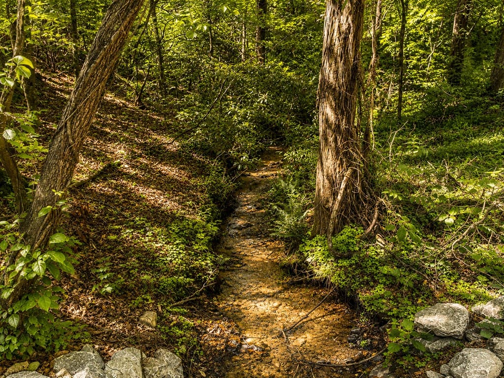 1472 Nugget Lane, Ellijay GA 30540 - Photo