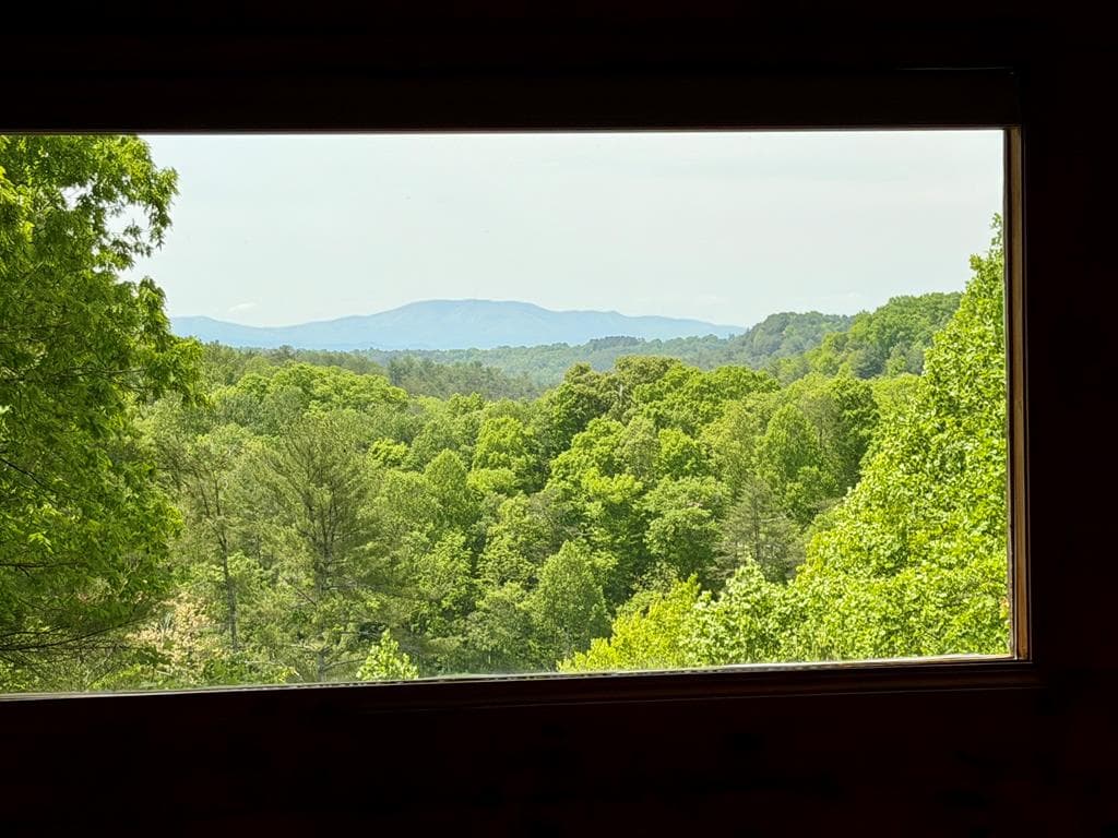 964 Walkabout Creek Road, Morganton GA 30560 - Photo