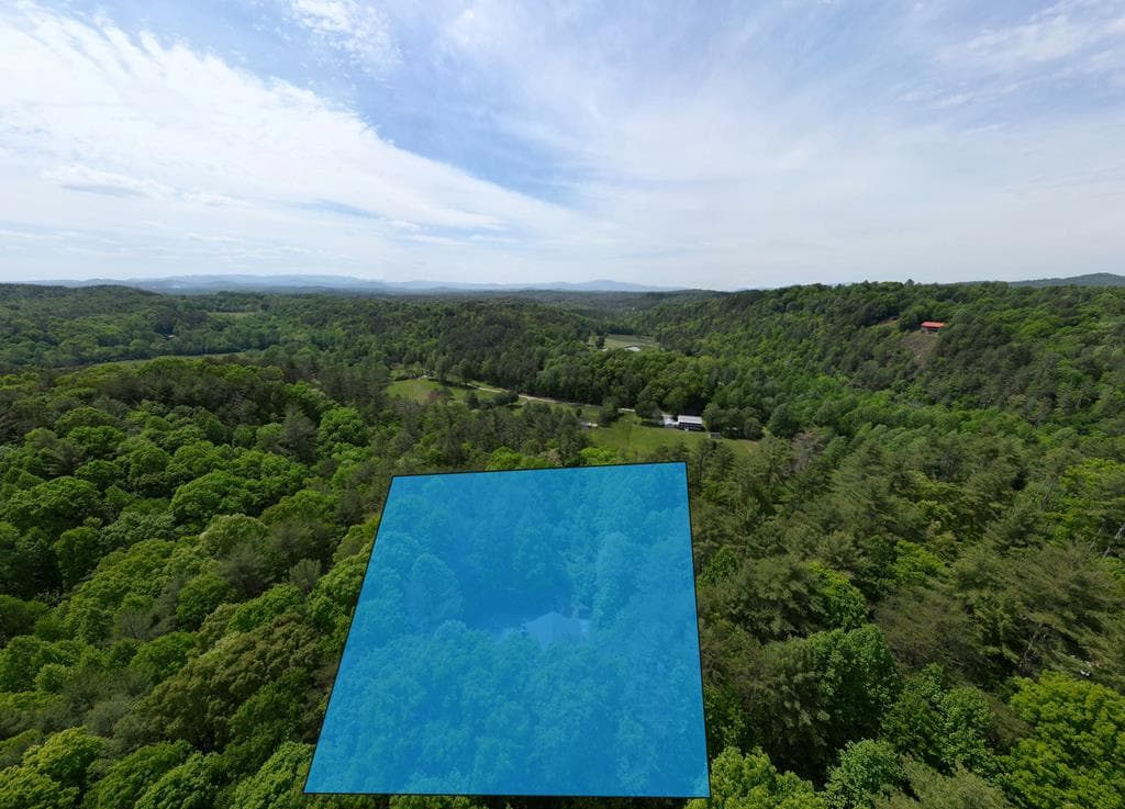 964 Walkabout Creek Road, Morganton GA 30560 - Photo