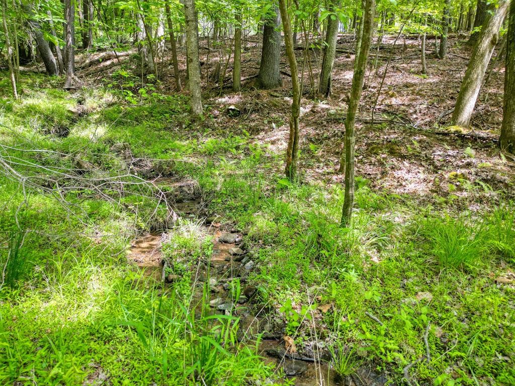 964 Walkabout Creek Road, Morganton GA 30560 - Photo