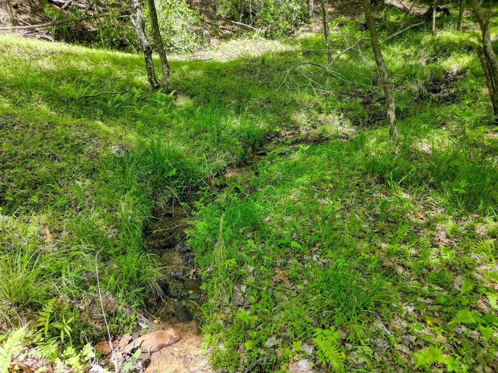 964 Walkabout Creek Road, Morganton GA 30560 - Photo
