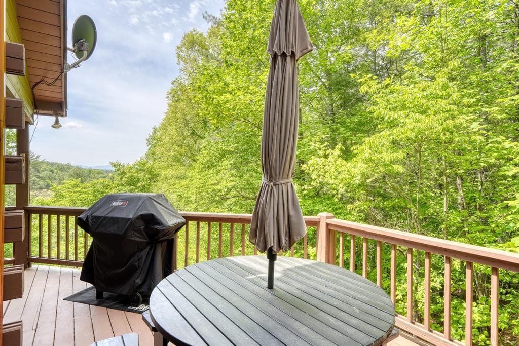 964 Walkabout Creek Road, Morganton GA 30560 - Photo