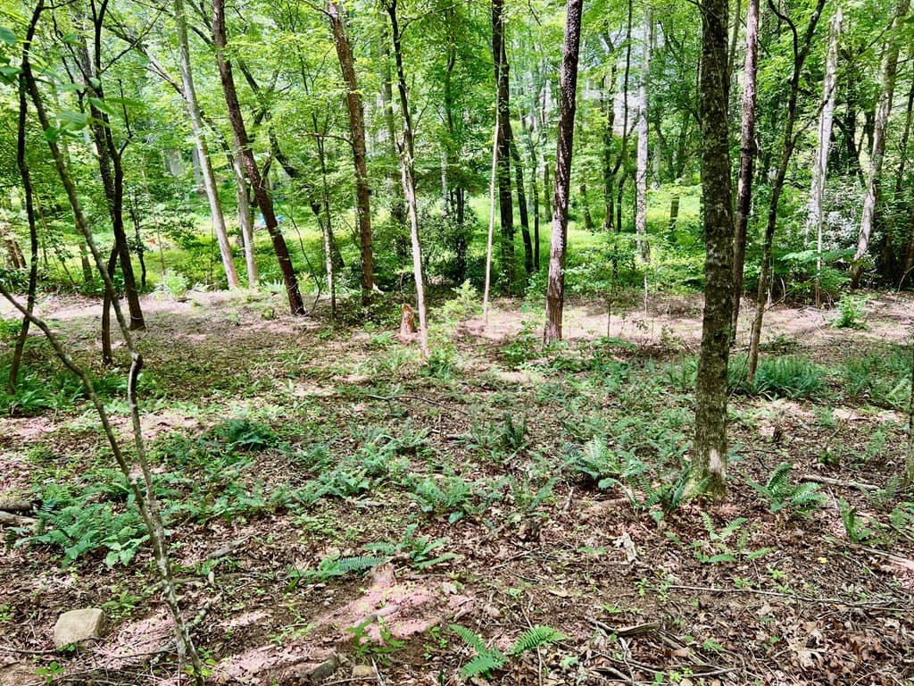Lot 3 Lower Fox Trail, Blairsville GA 30512 - Photo