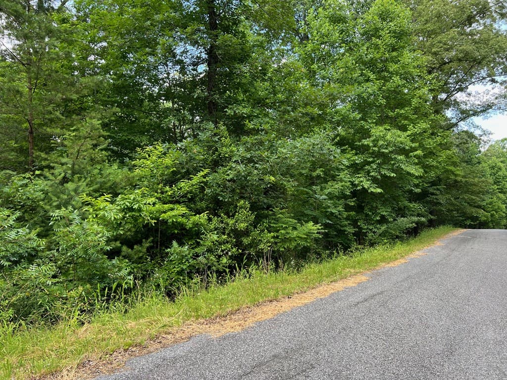 Lot 3 Lower Fox Trail, Blairsville GA 30512 - Photo