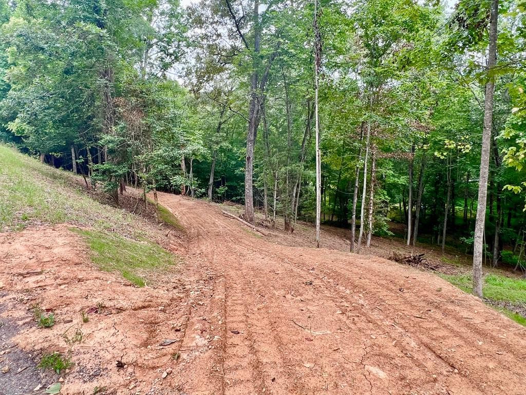 Lot 3 Lower Fox Trail, Blairsville GA 30512 - Photo