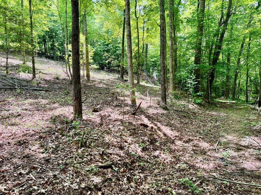Lot 3 Lower Fox Trail, Blairsville GA 30512 - Photo