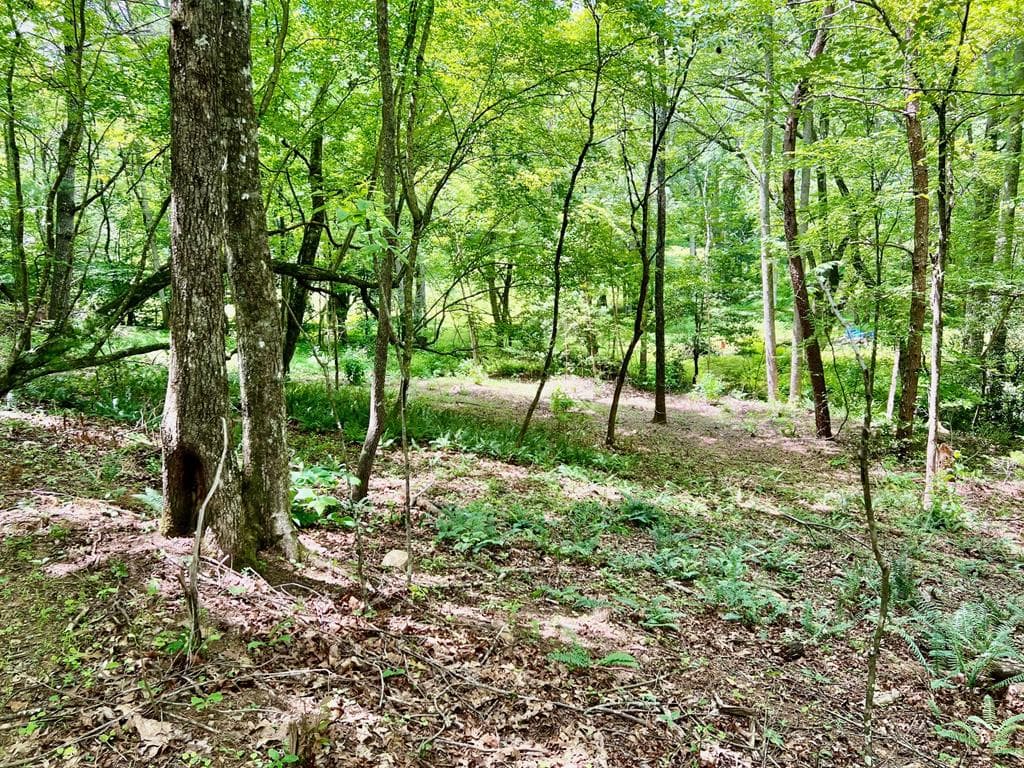 Lot 3 Lower Fox Trail, Blairsville GA 30512 - Primary photo