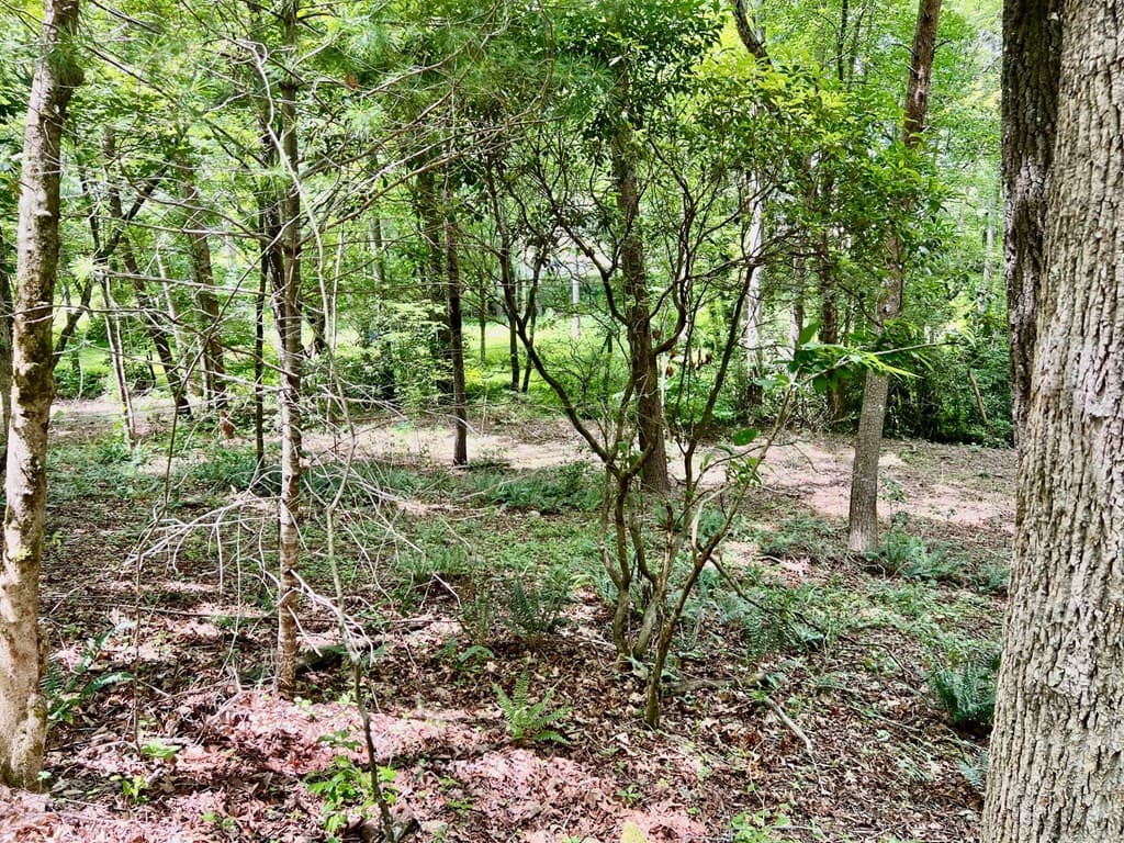 Lot 3 Lower Fox Trail, Blairsville GA 30512 - Photo