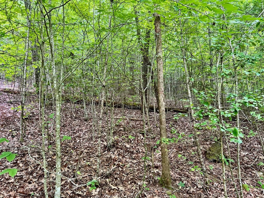 Lot 3 Lower Fox Trail, Blairsville GA 30512 - Photo