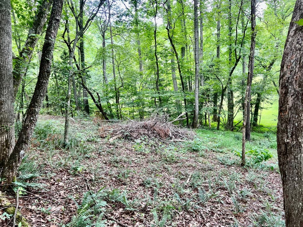 Lot 3 Lower Fox Trail, Blairsville GA 30512 - Photo