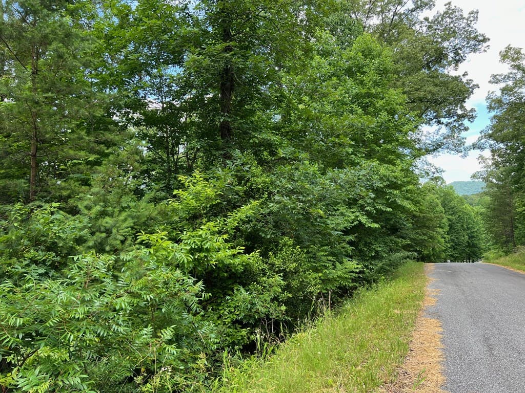 Lot 3 Lower Fox Trail, Blairsville GA 30512 - Photo
