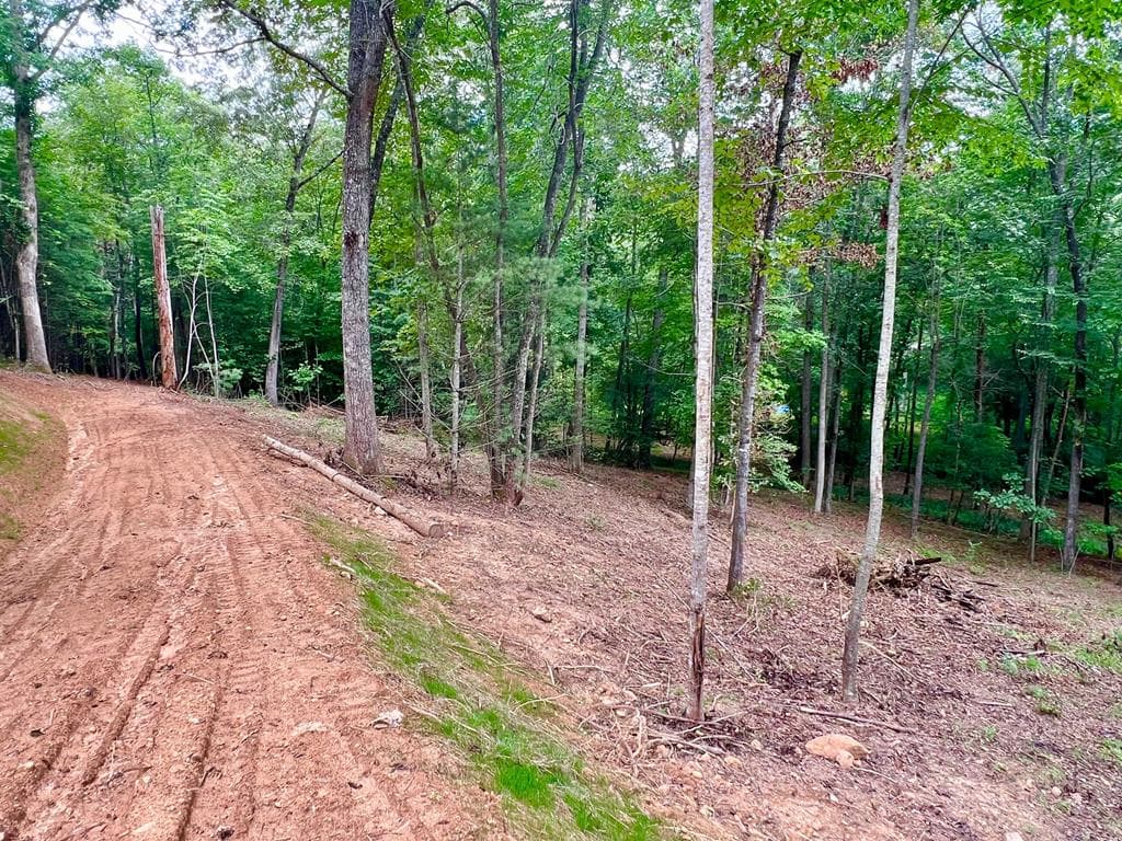 Lot 3 Lower Fox Trail, Blairsville GA 30512 - Photo