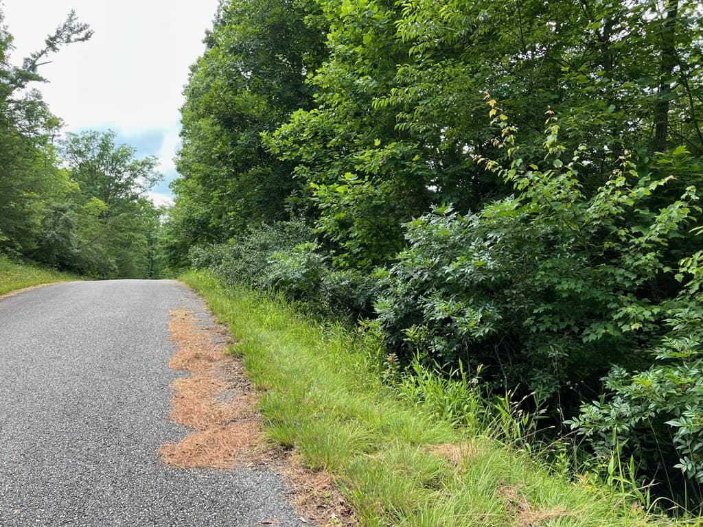 Lot 3 Lower Fox Trail, Blairsville GA 30512 - Photo