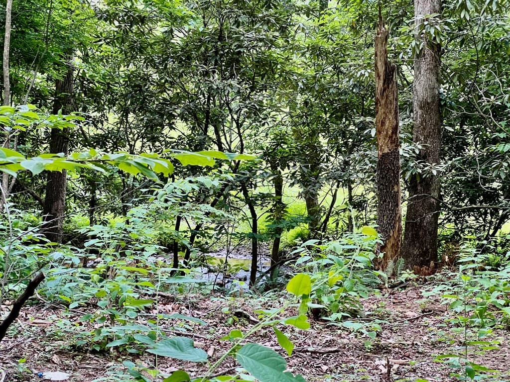 Lot 3 Lower Fox Trail, Blairsville GA 30512 - Photo