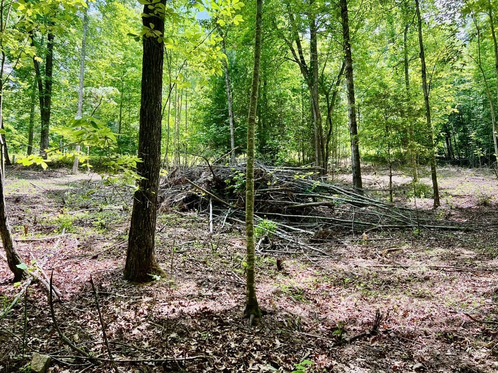 Lot 3 Lower Fox Trail, Blairsville GA 30512 - Photo