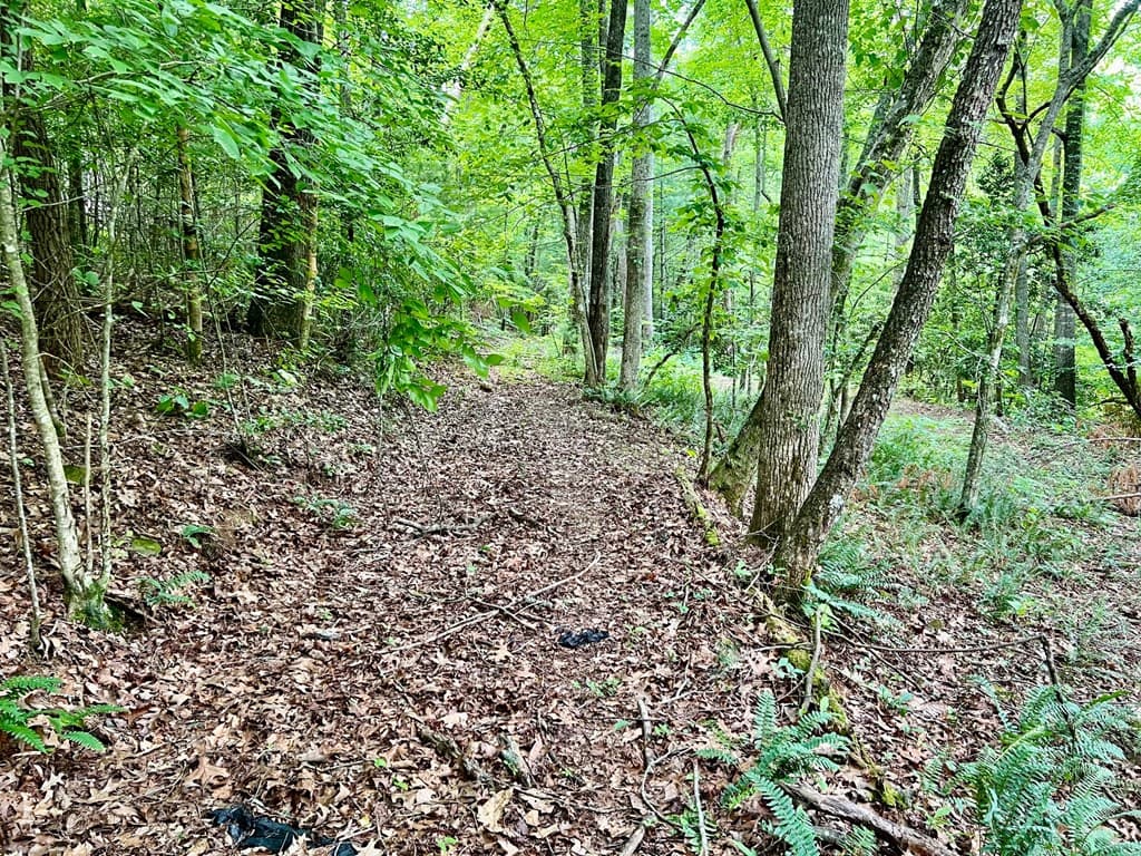 Lot 3 Lower Fox Trail, Blairsville GA 30512 - Photo