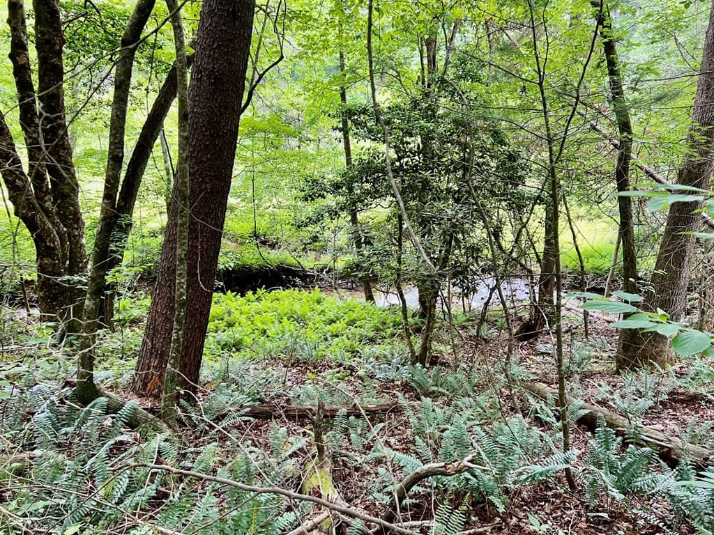 Lot 4 Lower Fox Trail, Blairsville GA 30512 - Photo