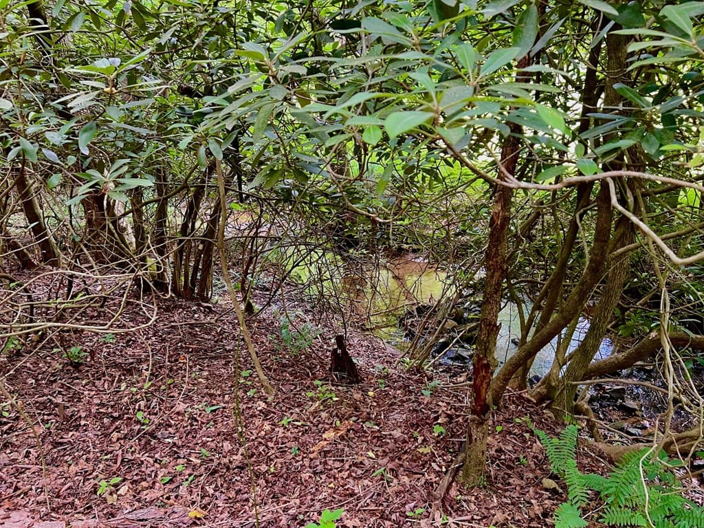 Lot 4 Lower Fox Trail, Blairsville GA 30512 - Photo