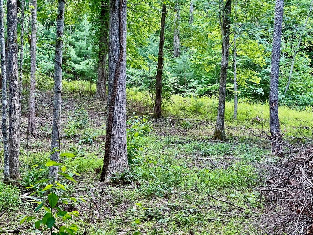 Lot 4 Lower Fox Trail, Blairsville GA 30512 - Photo